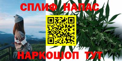 мдма Беслан