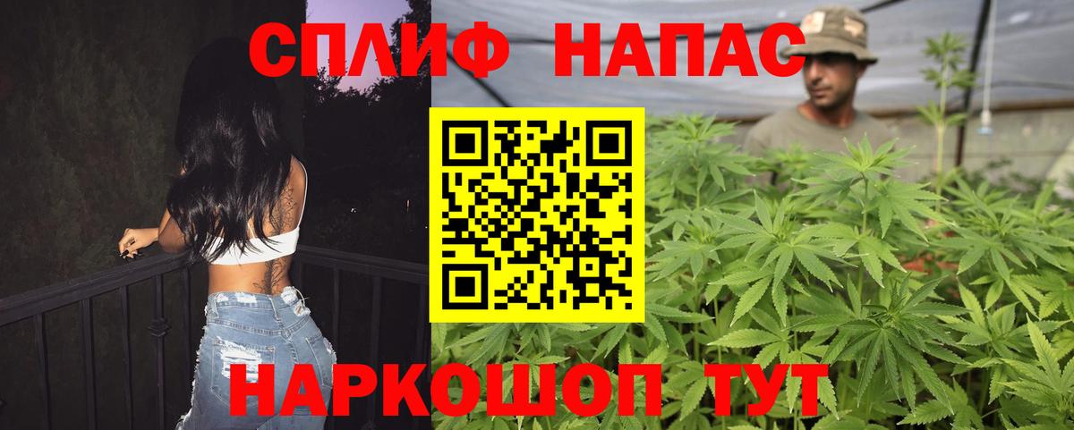 Шишки марихуана конопля  Вход с VPN  Каннабис LSD WEED  Кинель  Канабис сатива  Каннабис Ganja 